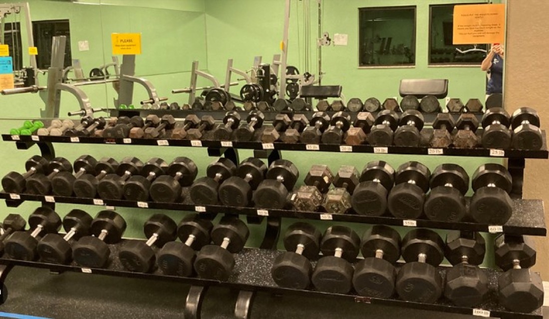 Full dumbbell rack with mirrored wall