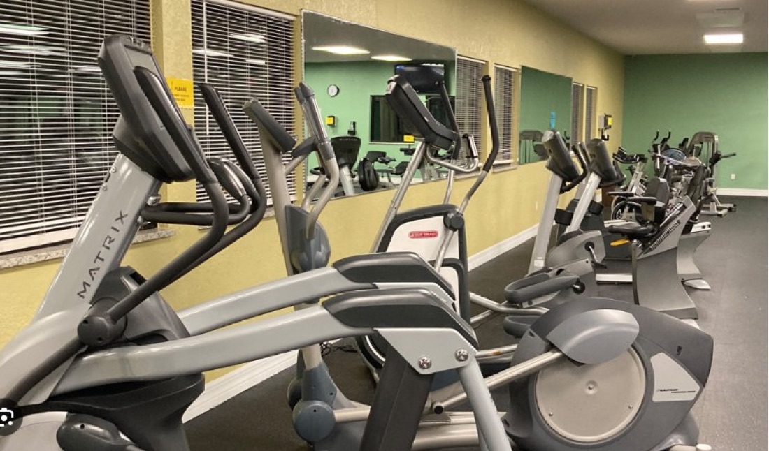 Row of cardio treadmills